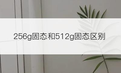 256g固态和512g固态区别