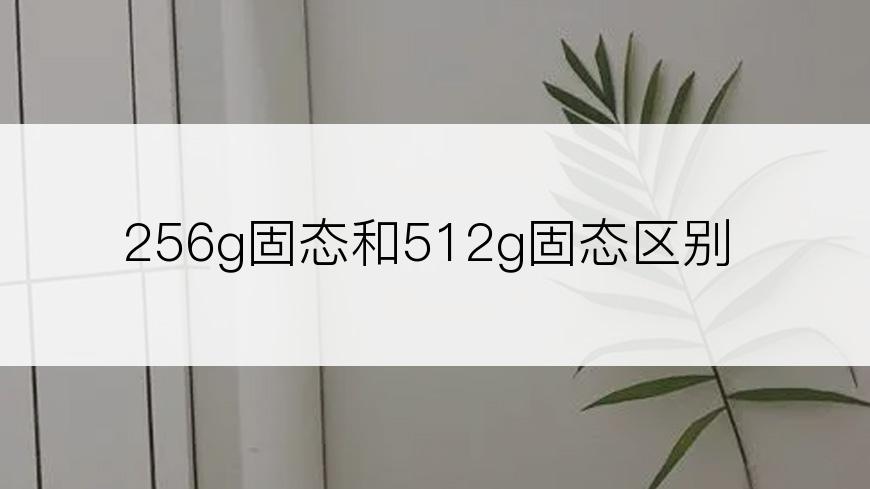 256g固态和512g固态区别
