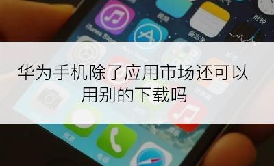 华为手机除了应用市场还可以用别的下载吗