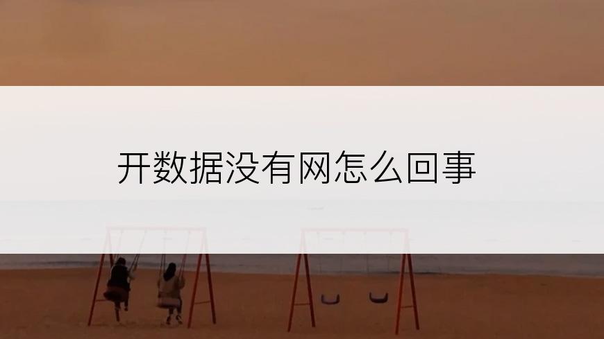 开数据没有网怎么回事
