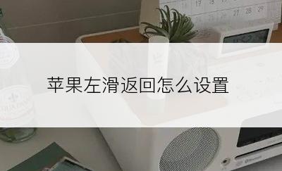 苹果左滑返回怎么设置