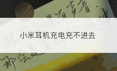 小米耳机充电充不进去