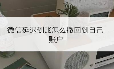 微信延迟到账怎么撤回到自己账户