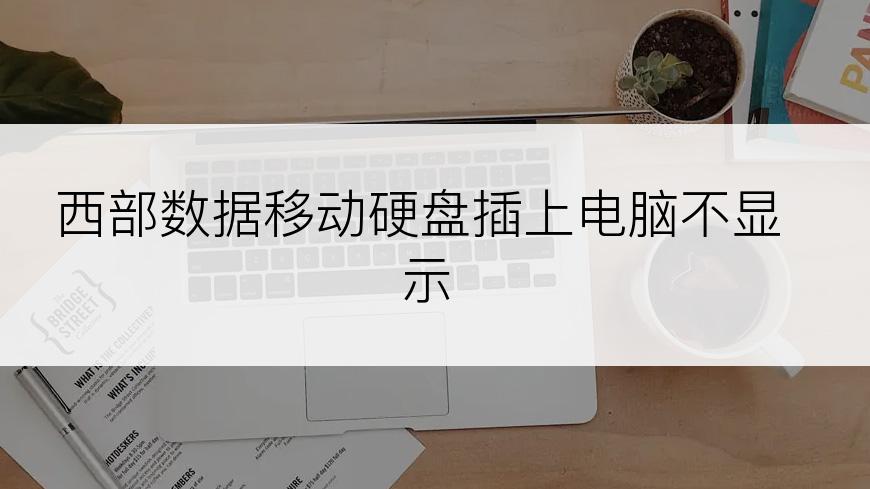 西部数据移动硬盘插上电脑不显示