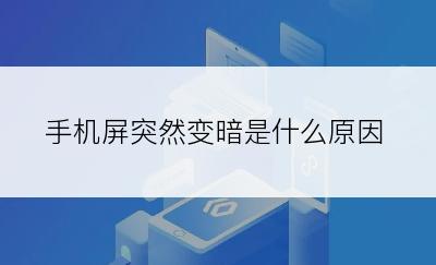 手机屏突然变暗是什么原因