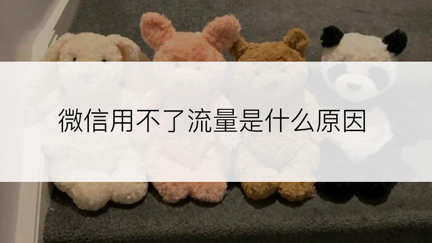 微信用不了流量是什么原因