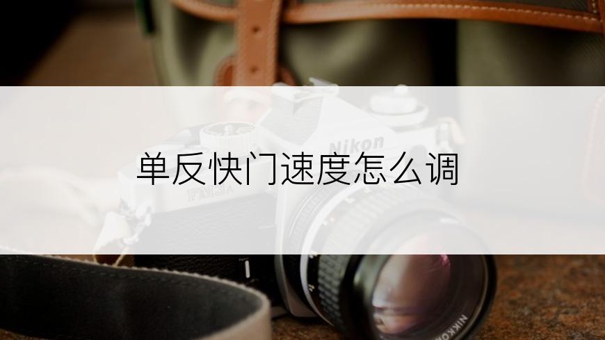 单反快门速度怎么调