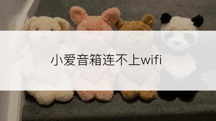 小爱音箱连不上wifi