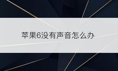苹果6没有声音怎么办