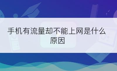 手机有流量却不能上网是什么原因