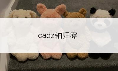 cadz轴归零