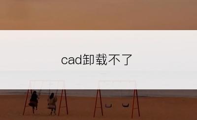 cad卸载不了