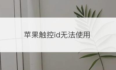 苹果触控id无法使用