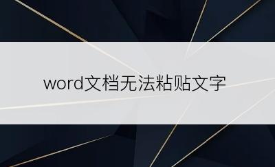 word文档无法粘贴文字