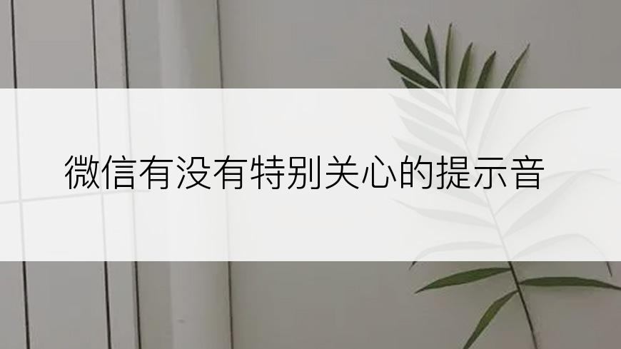 微信有没有特别关心的提示音