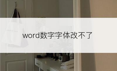 word数字字体改不了
