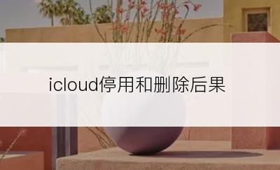 icloud停用和删除后果