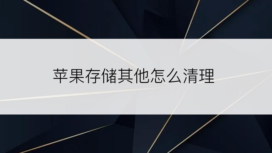 苹果存储其他怎么清理