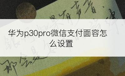 华为p30pro微信支付面容怎么设置