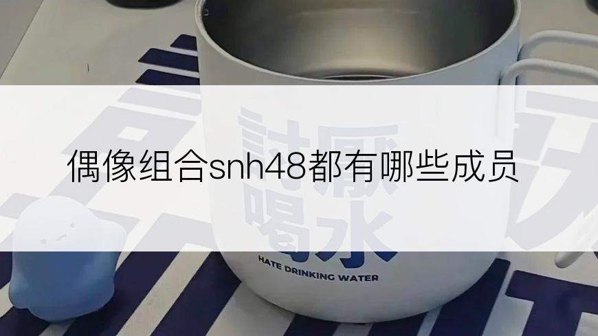 偶像组合snh48都有哪些成员