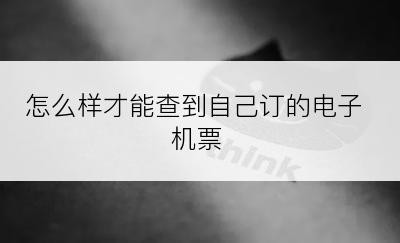 怎么样才能查到自己订的电子机票