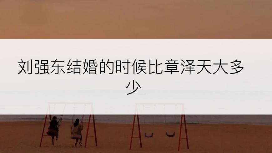 刘强东结婚的时候比章泽天大多少