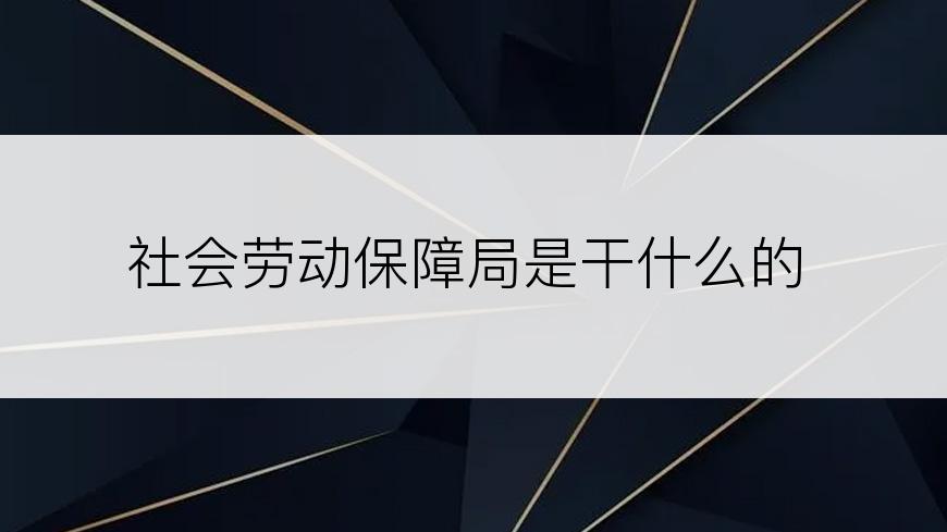 社会劳动保障局是干什么的