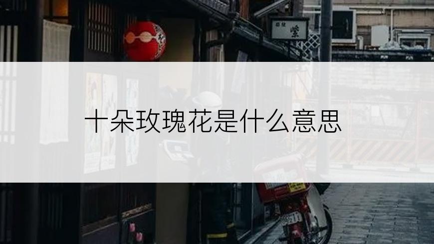 十朵玫瑰花是什么意思