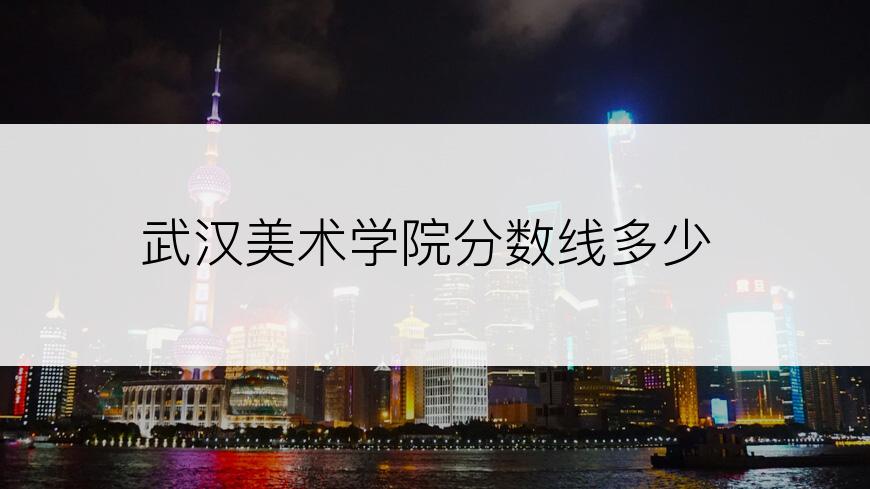 武汉美术学院分数线多少