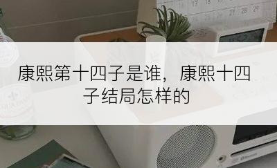 康熙第十四子是谁，康熙十四子结局怎样的
