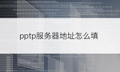 pptp服务器地址怎么填