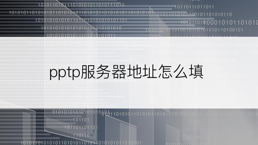 pptp服务器地址怎么填