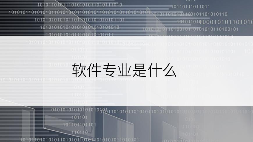 软件专业是什么