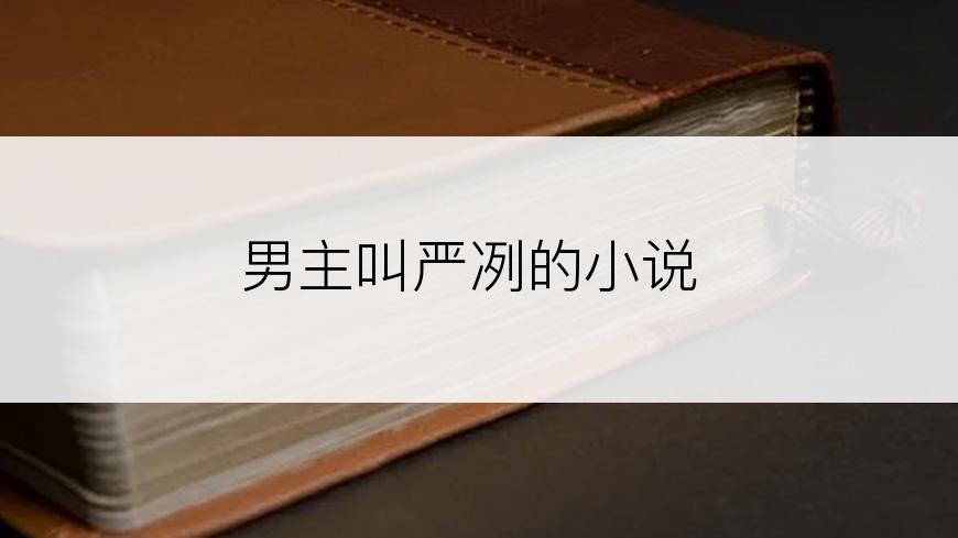 男主叫严冽的小说