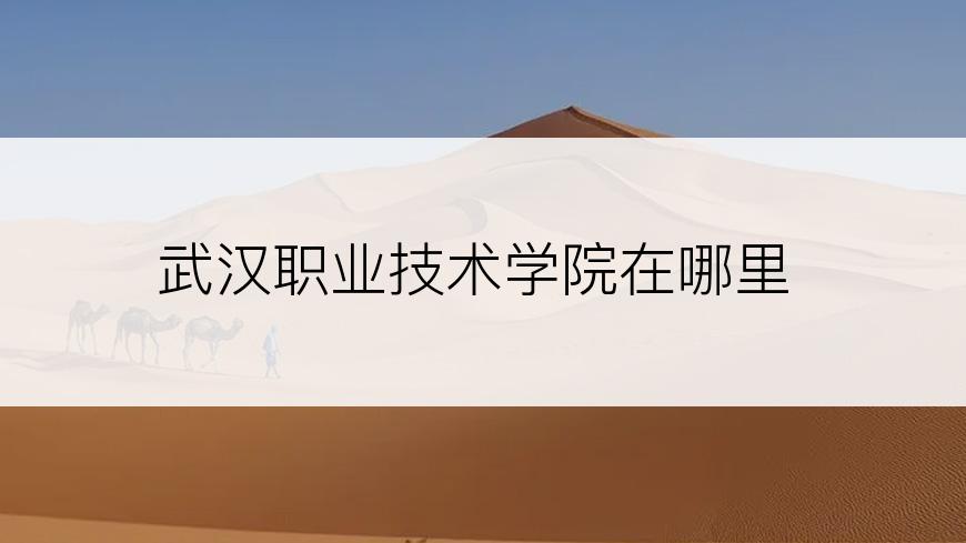 武汉职业技术学院在哪里