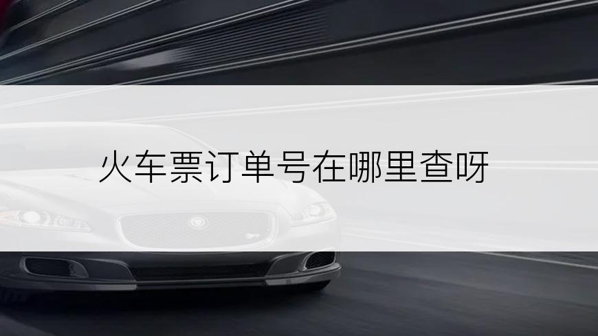 火车票订单号在哪里查呀
