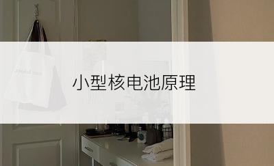 小型核电池原理