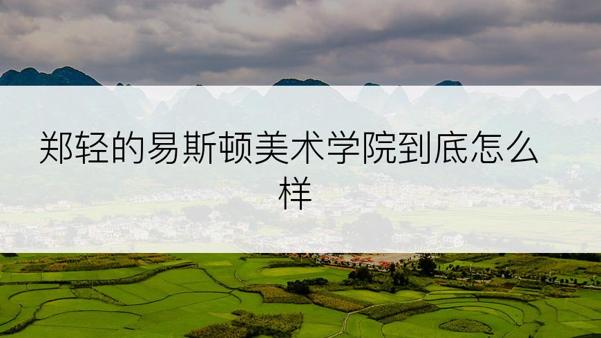 郑轻的易斯顿美术学院到底怎么样