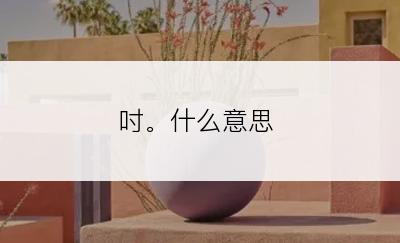 吋。什么意思