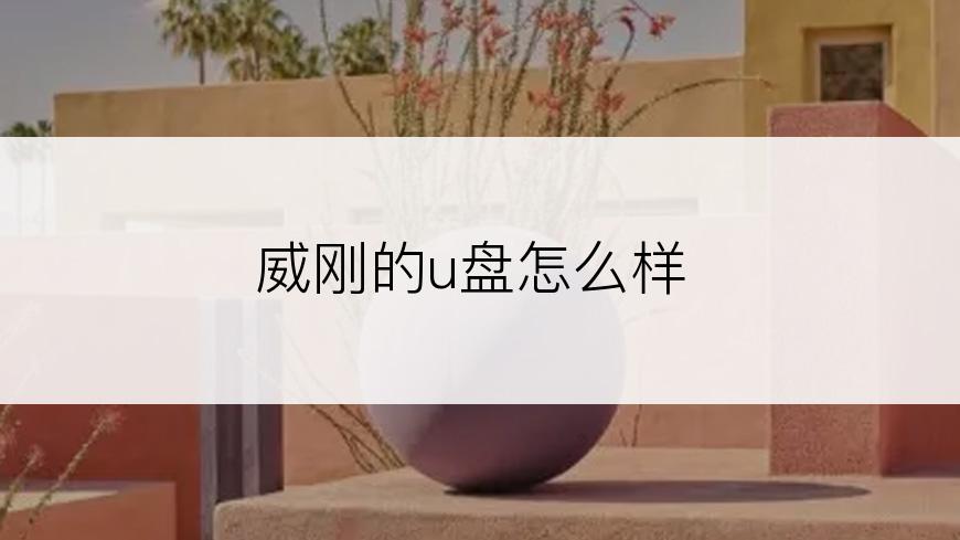 威刚的u盘怎么样