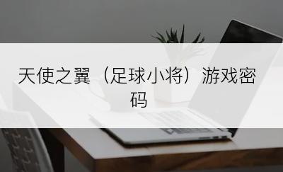 天使之翼（足球小将）游戏密码