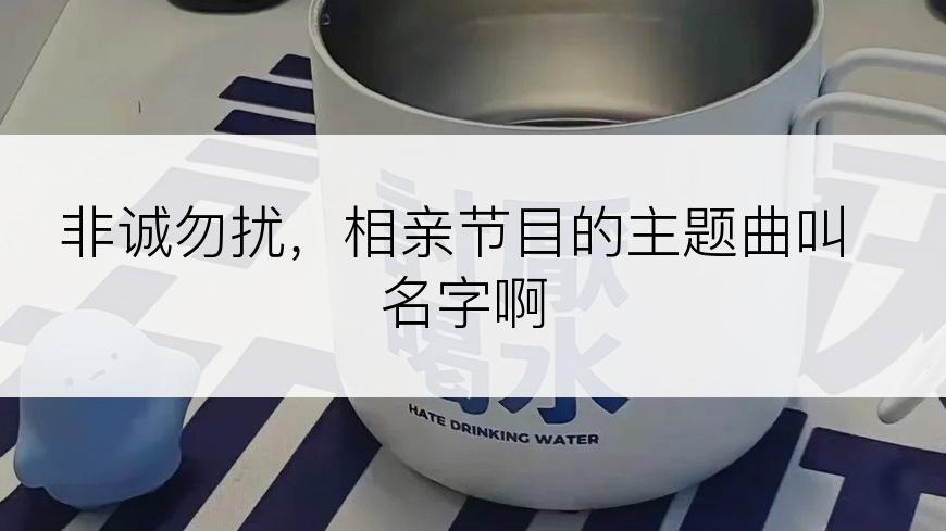 非诚勿扰，相亲节目的主题曲叫名字啊