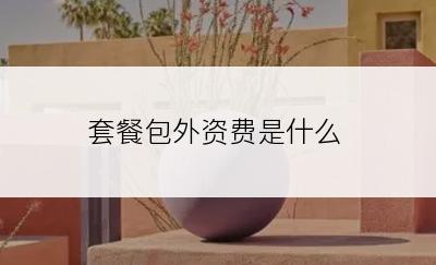 套餐包外资费是什么