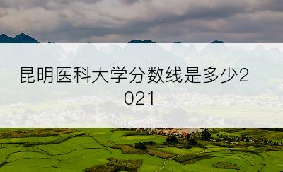 昆明医科大学分数线是多少2021