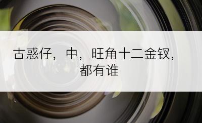 古惑仔，中，旺角十二金钗，都有谁