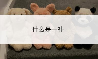 什么是一补
