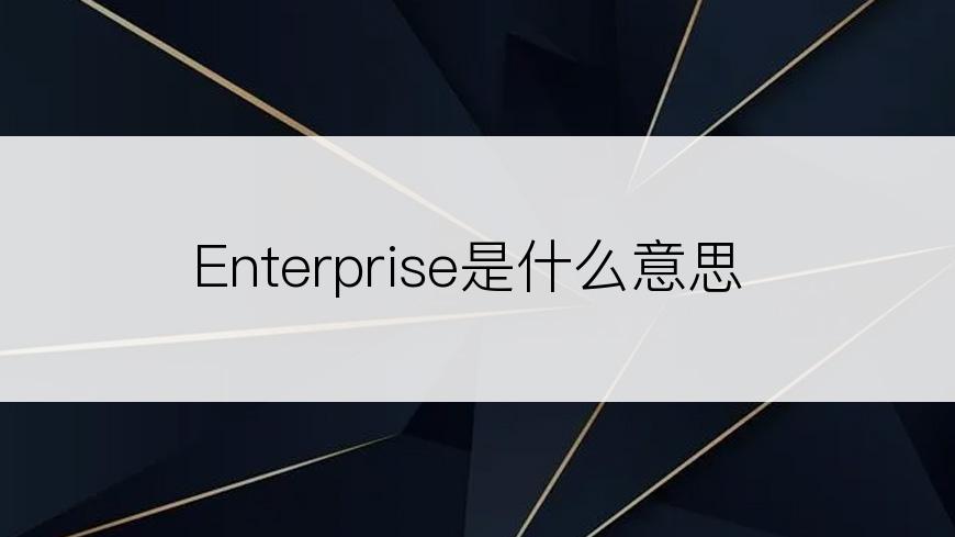 Enterprise是什么意思