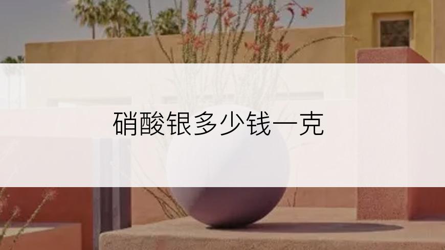 硝酸银多少钱一克