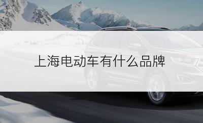 上海电动车有什么品牌