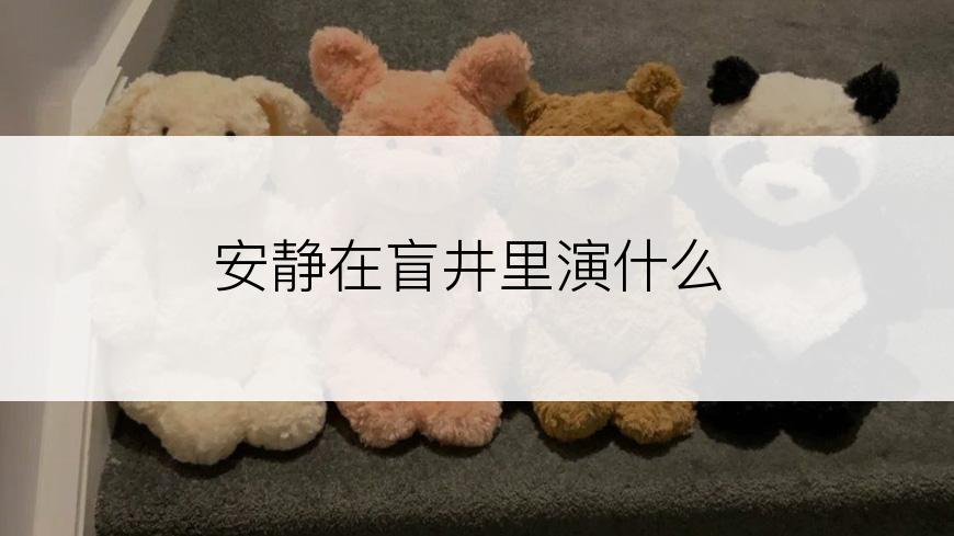 安静在盲井里演什么